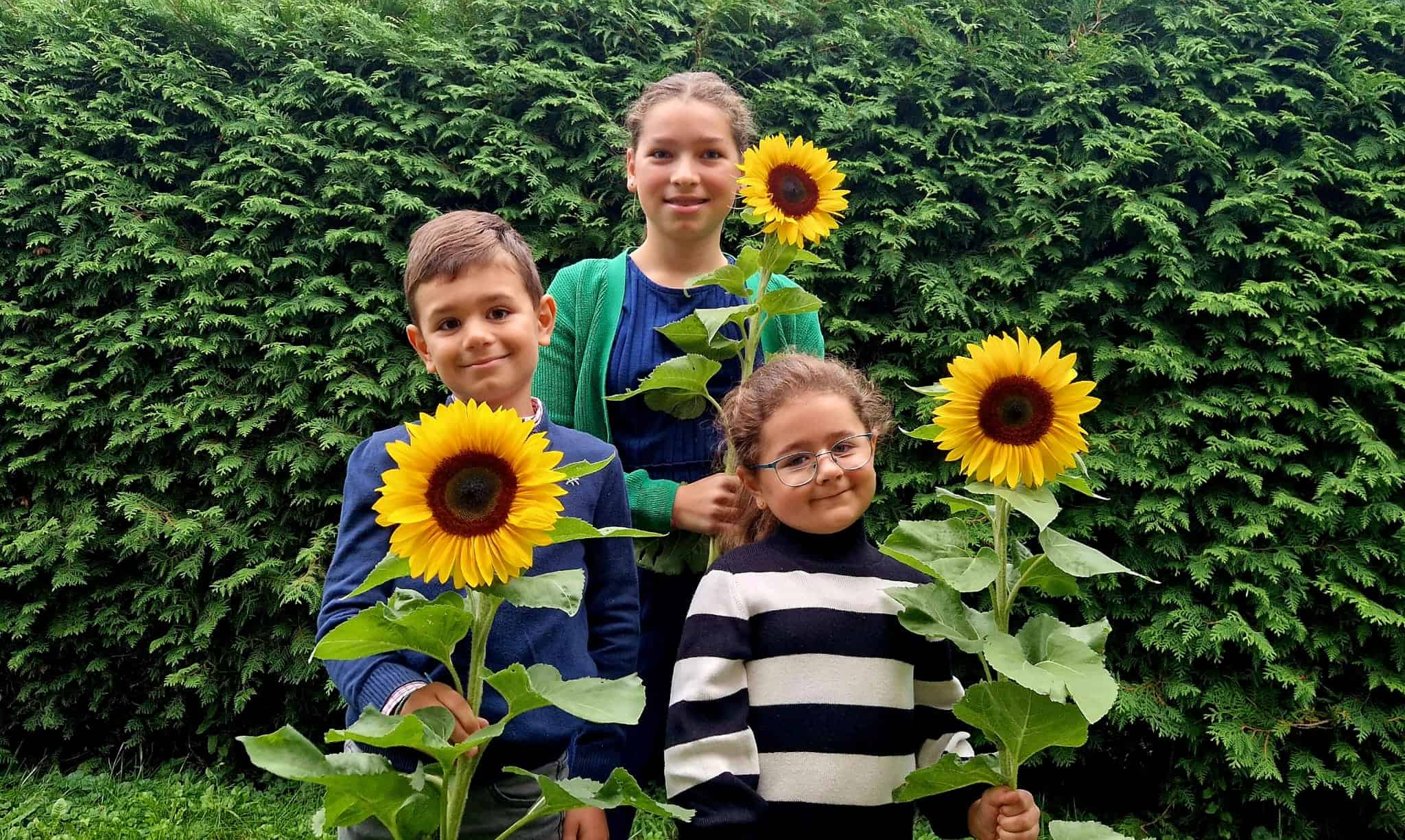 Stammzelltransplantation als Chance bei AML