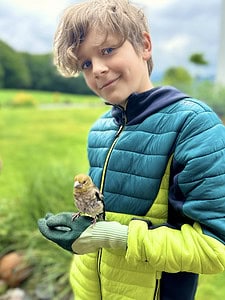 Junge mit kleinem Vogel auf der Hand